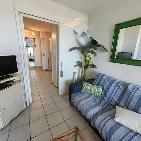 T2 Alcôve Avec Piscine à 50m De La Plage, Cap D'agde - Fr-1-607-11