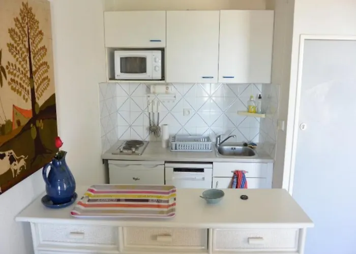 Appartamento T2 Alcôve Avec Piscine à 50m De La Plage, Cap D'agde - Fr-1-607-11