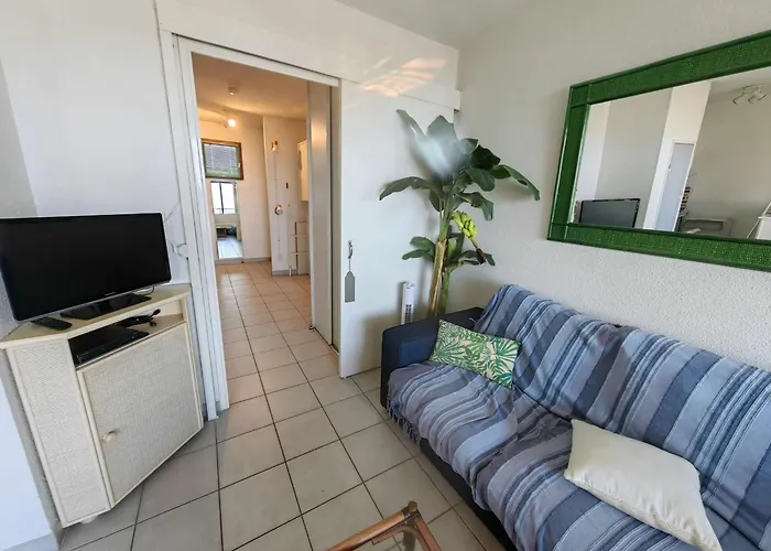 T2 Alcôve Avec Piscine à 50m De La Plage, Cap D'agde - Fr-1-607-11